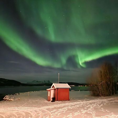 Ulvsvag Gjestgiveri Og Fjordcamping As Екстериор снимка