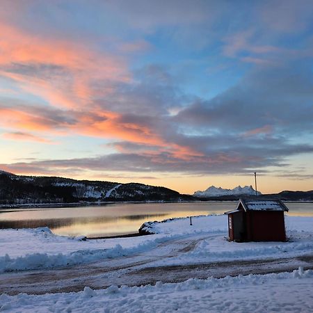 Ulvsvag Gjestgiveri Og Fjordcamping As Екстериор снимка